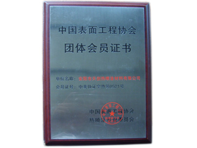 中国表面工程协会团体会员证书