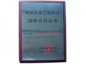 中国表面工程协会团体会员证书